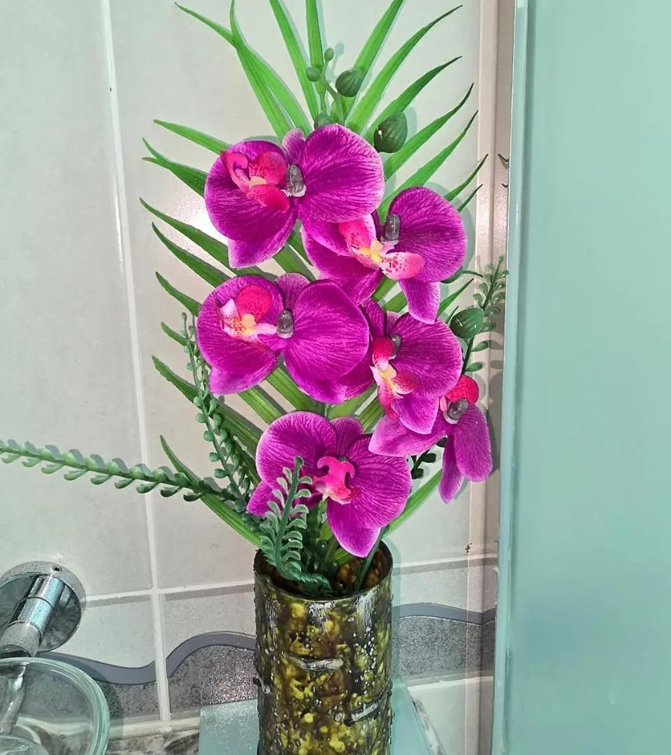 Ocean Pearl Villa Anse Royale